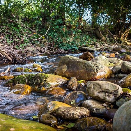 Apartamentos Rincon Del Duende Сан-Мартин Экстерьер фото